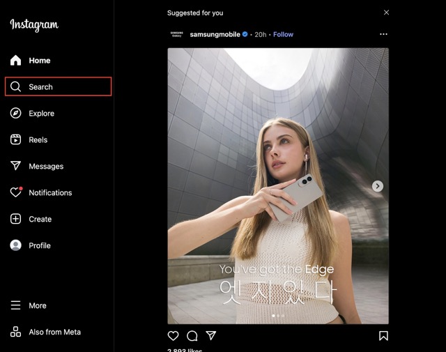 'search' field on instagram